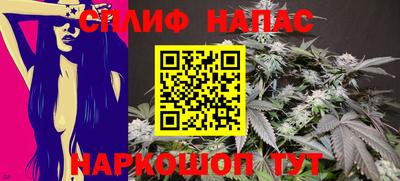 дживик Жуковский