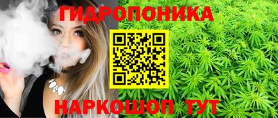 ПСИЛОЦИБИНОВЫЕ ГРИБЫ Заволжье
