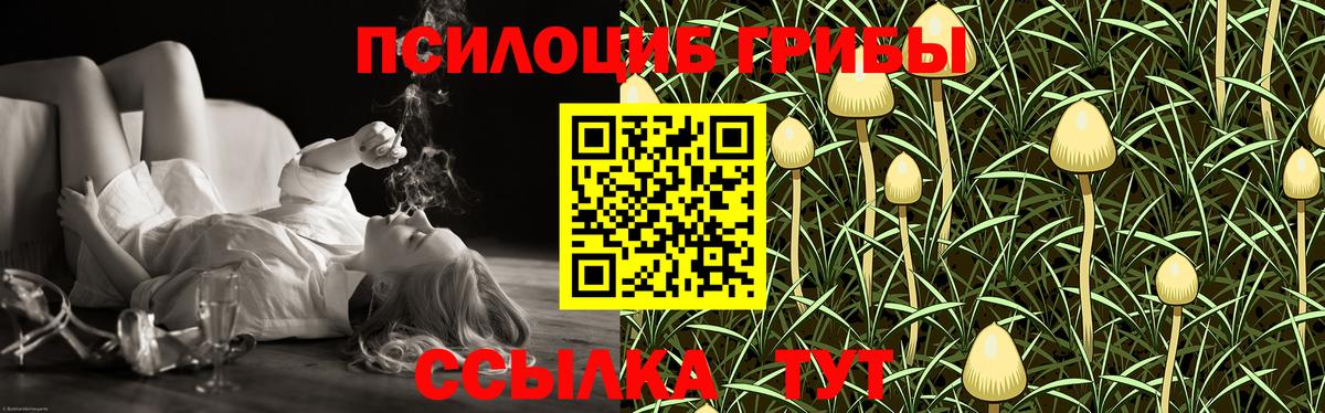 Псилоцибиновые грибы мицелий Гуково