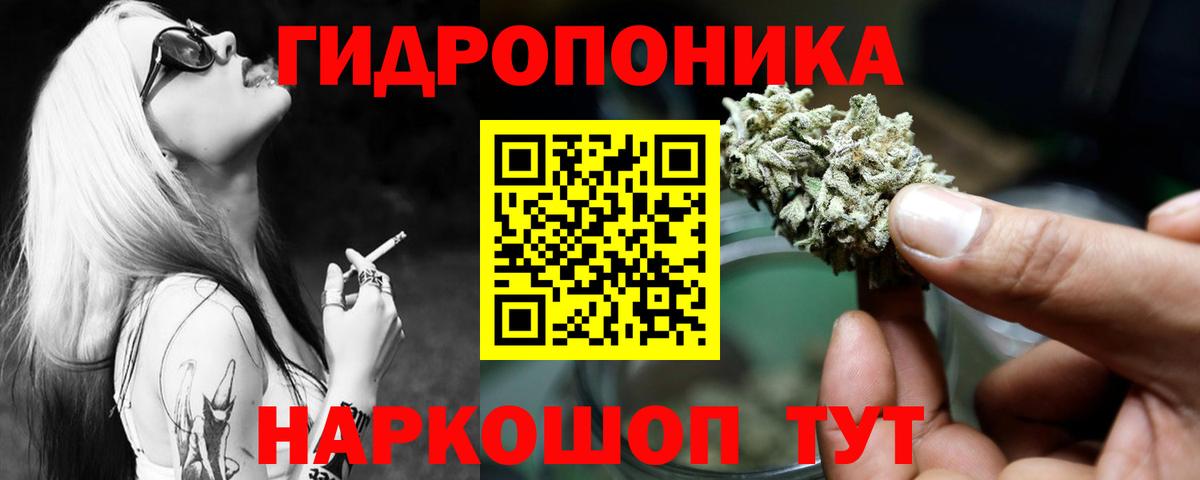Гуково  Каннабис семена  Шишки марихуана OG Kush  Канабис семена  Вход с VPN 